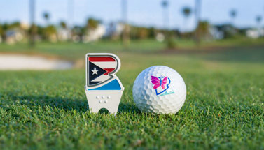 Trailer Bridge Recognized with TMSA Purpose Award for Rally Initiative