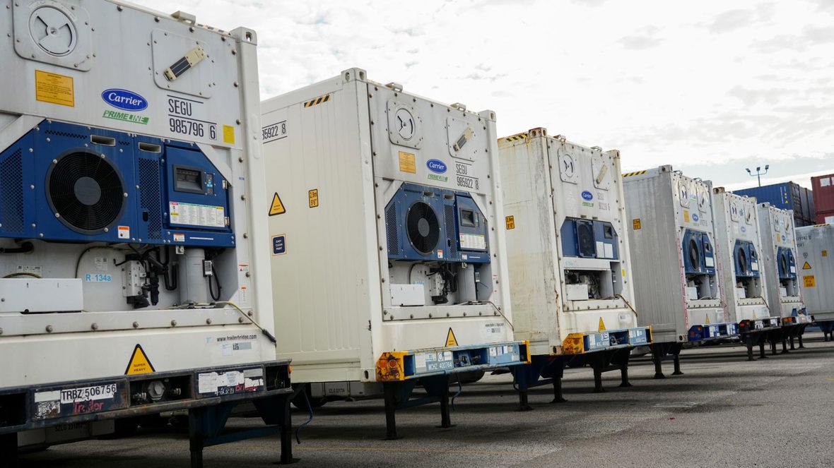 A line of reefer trailers.