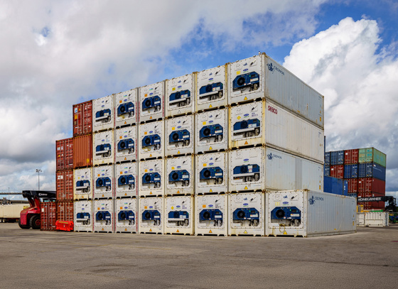 Content Width CTA Reefers