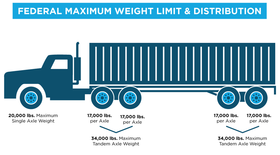 WEB Weight Distribution 1