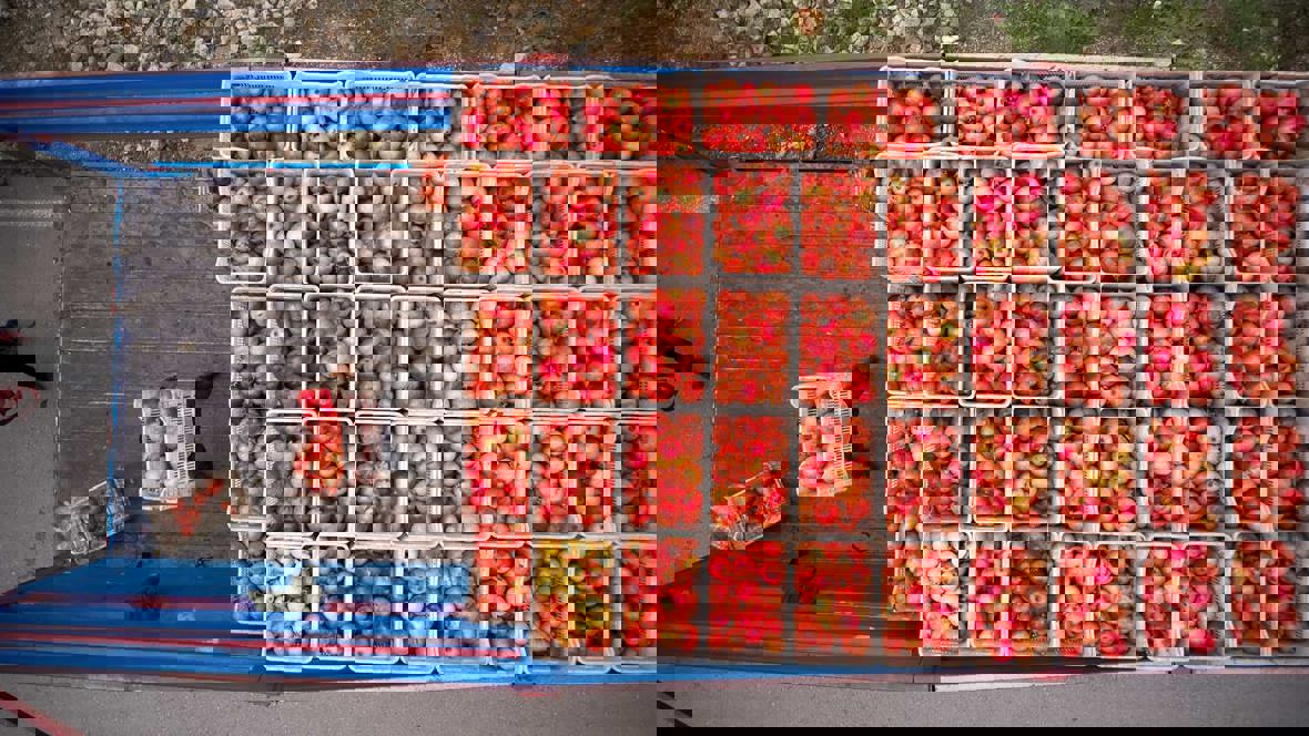 Your Guide To Shipping Produce Feature