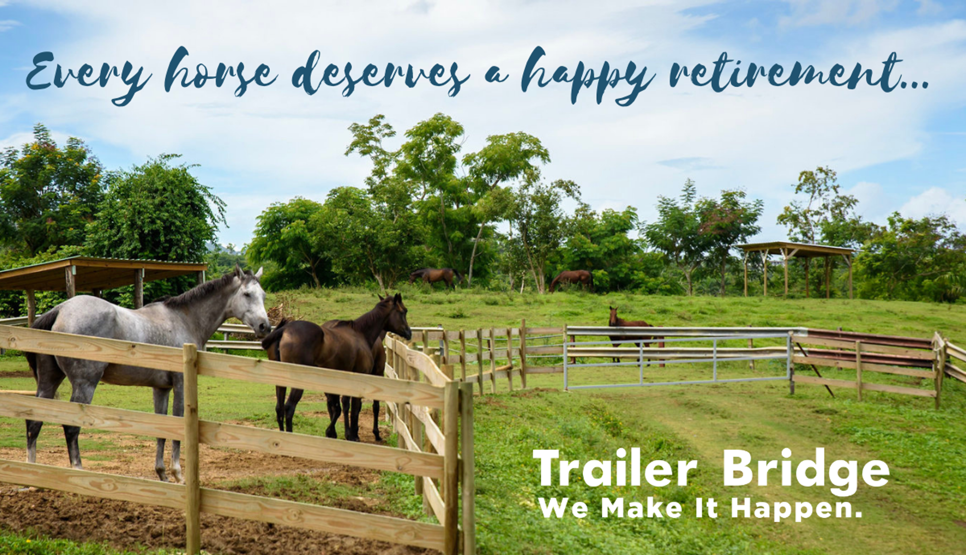every horse deserves a happy retirement