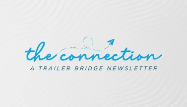 Welcome to "The Connection"