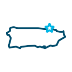 Icon for services to Puerto Rico depicting a simplified outline of the country.